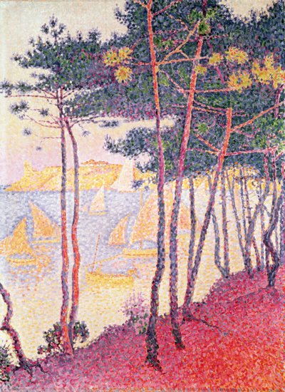 Segelboote und Kiefern, 1896 von Paul Signac